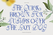 Gamory Typeface, a Serif Font by alit design (Thumbnail 14 of 21)