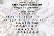 Wedding Catering | Script Font, a Script Font by Scratchones (Thumbnail 7 of 8)