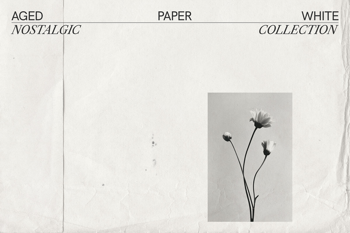 Aged White Vintage Paper, a Texture Graphic by Aesthetic Eye (Photo 3 of 14)