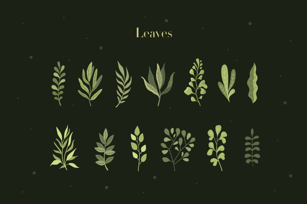 FLORAL Botanical forest garden, an Object Illustration by Moon House Shop (Photo 4 of 12)