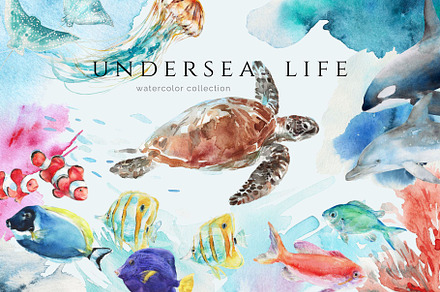 Undersea Life Watercolor, an Animal Illustration by Kolorata Art