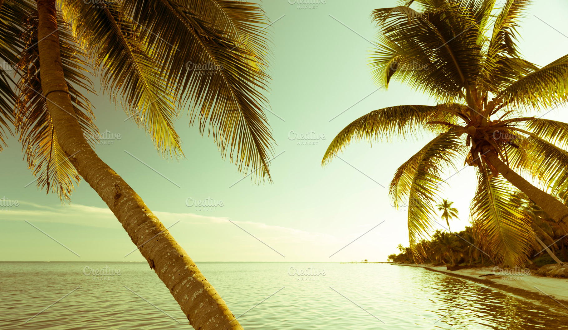 Vintage Tropical Beach Scene, a Photo by THP Creative
