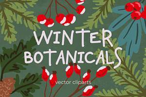 25 Winter Botanicals Cliparts