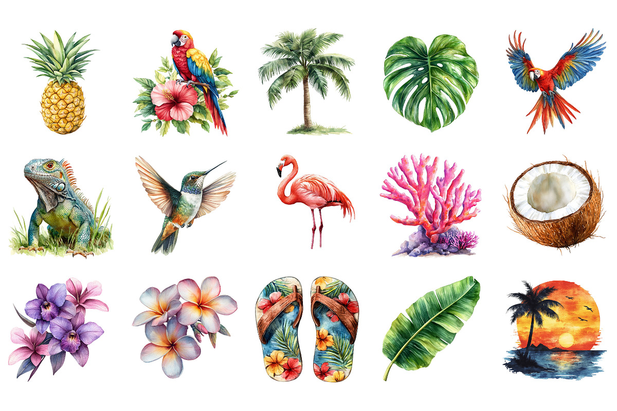 Tropical Clipart Bundle, an Illustration by Designking (Photo 3 of 5)