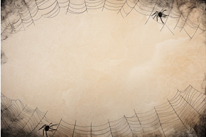 Delicate Cobweb Mockup Background