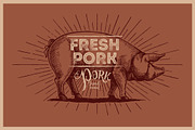 Pigs in graphical style, an Animal Illustration by Countryside life (Thumbnail 5 of 11)