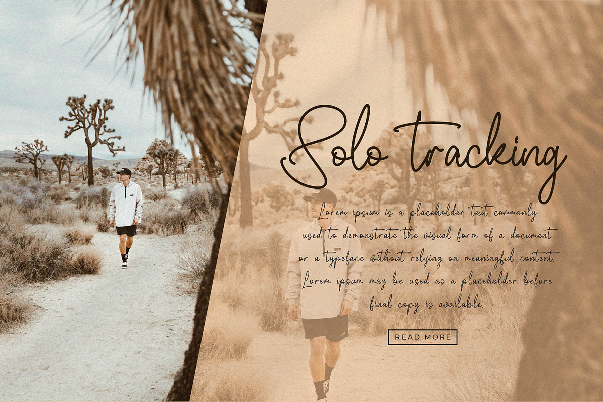 Whitteney, a Script Font by Integritype Studio (Photo 7 of 15)