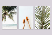 Travel Collection 1, a Background Photo by Floral Deco (Thumbnail 4 of 6)