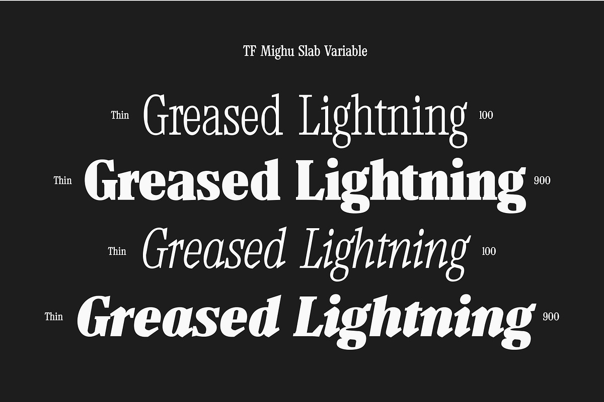 TF Mighu - Modern Slab Serif, a Serif Font by Type Flock (Photo 15 of 15)