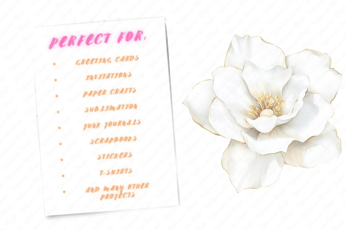 White Floral Clipart, an Illustration by Watercolor design (Photo 8 of 12)