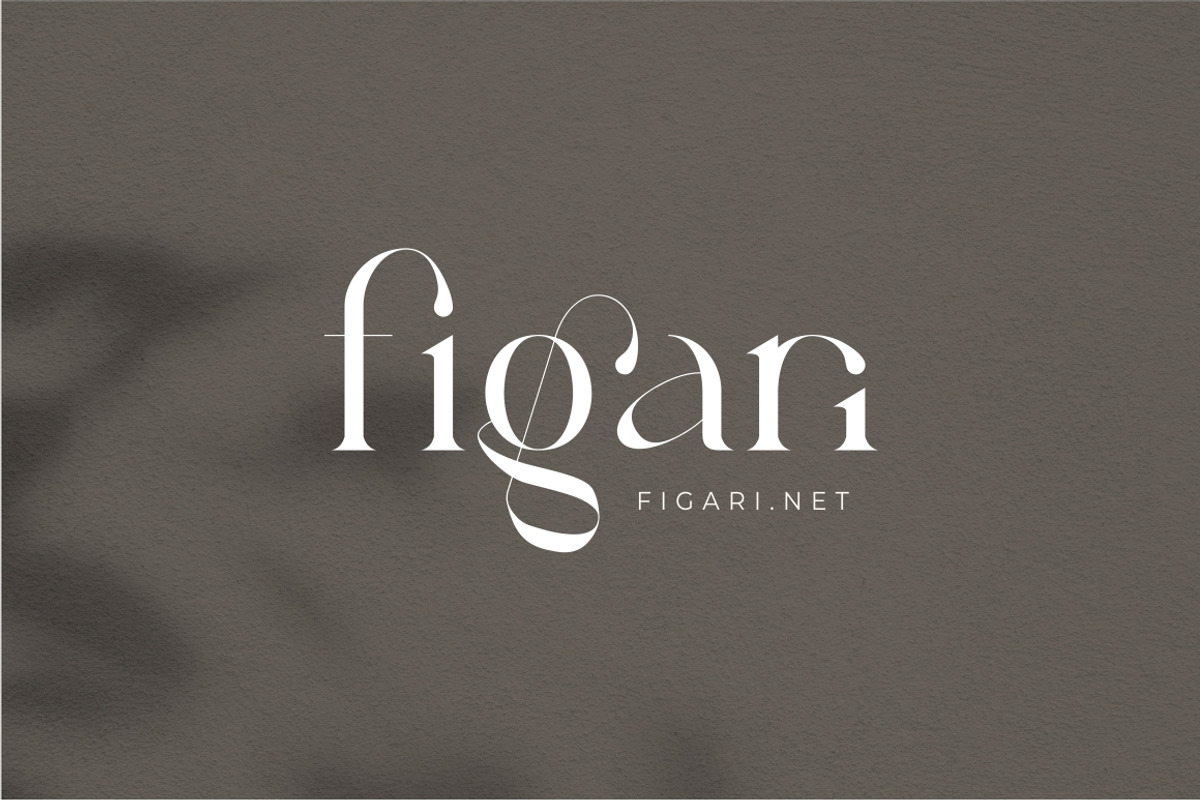 Fragier unique ligature serif font, a Serif Font by suhadidesign (Photo 2 of 14)