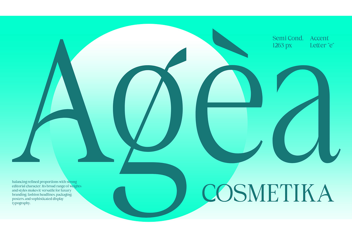 Aganote Typeface | 91 Style Font, a Serif Font by Bosstype Studio (Photo 5 of 12)