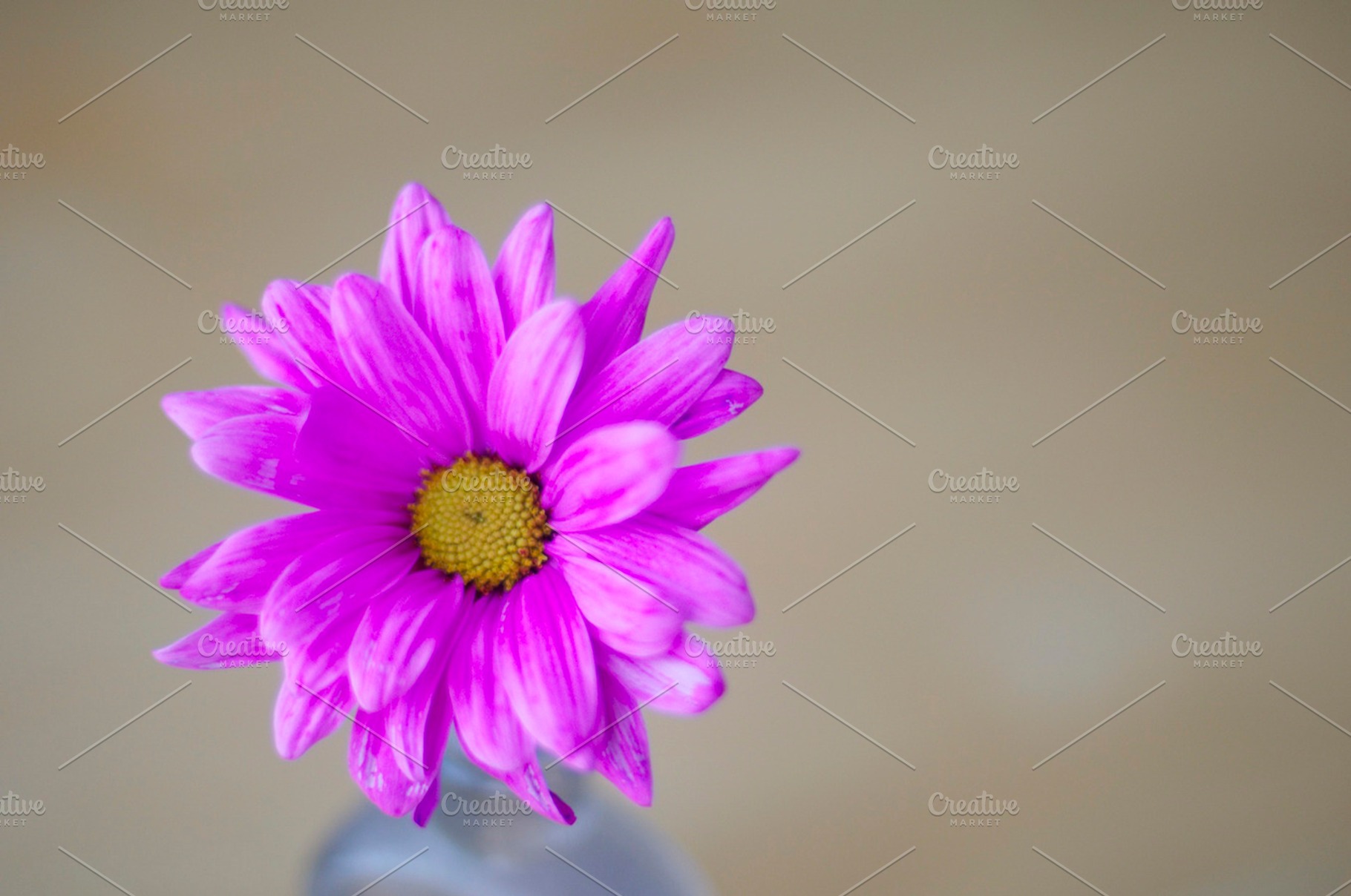 Simplicity Stock Picture