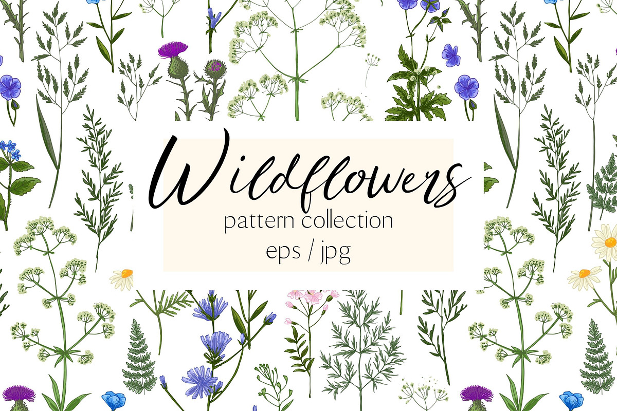 Wild herbs. Wildflowers pattern, a Pattern Graphic by irina.vaneeva (Photo 1 of 6)