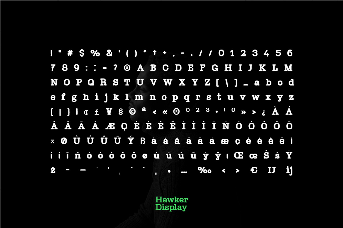 Hawker Serif - Modern Typeface + Web, a Serif Font by Webhance Studio (Photo 4 of 6)
