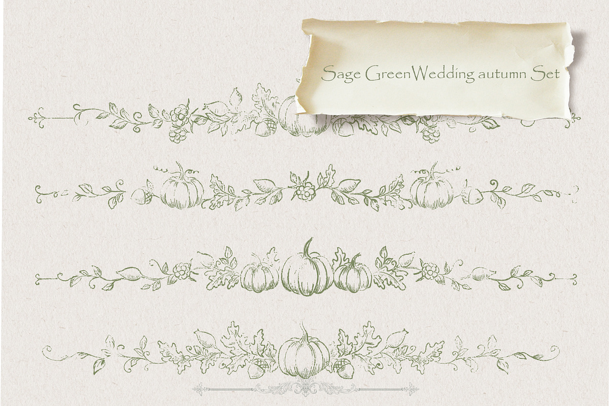 Autumn Botanical Sage Green Set, a Seasonal Illustration by AlenaVlasko stock Market (Photo 4 of 7)