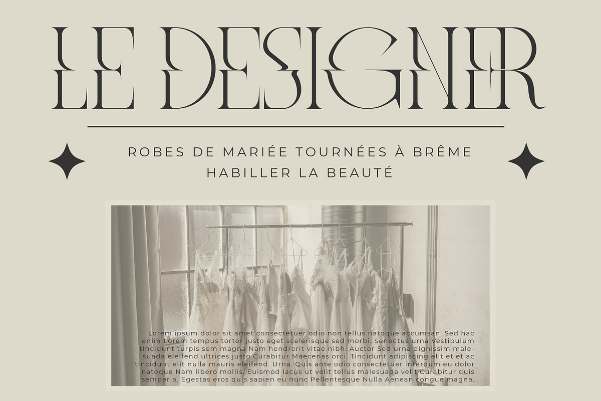 Meglona Modern and Stylish Serif, a Serif Font by Storytype Studio (Photo 6 of 12)