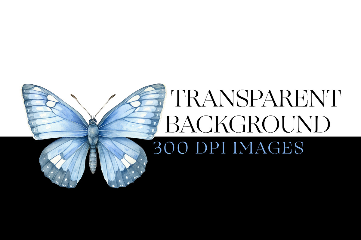 Skipper Butterfly Clipart, Butterfly, an Animal Illustration by BrushstrokeArtGB (Photo 7 of 9)