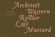 The Ashcombe Hall Oldstyle Serif, a Serif Font by CarmineType (Thumbnail 5 of 24)