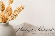 Saint Viet | Calligraphy Font, a Script Font by Calamar Studio (Thumbnail 21 of 29)