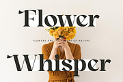 Angfia Relaftio Modern Serif Font, a Script Font by Letterena Studios (Thumbnail 10 of 15)