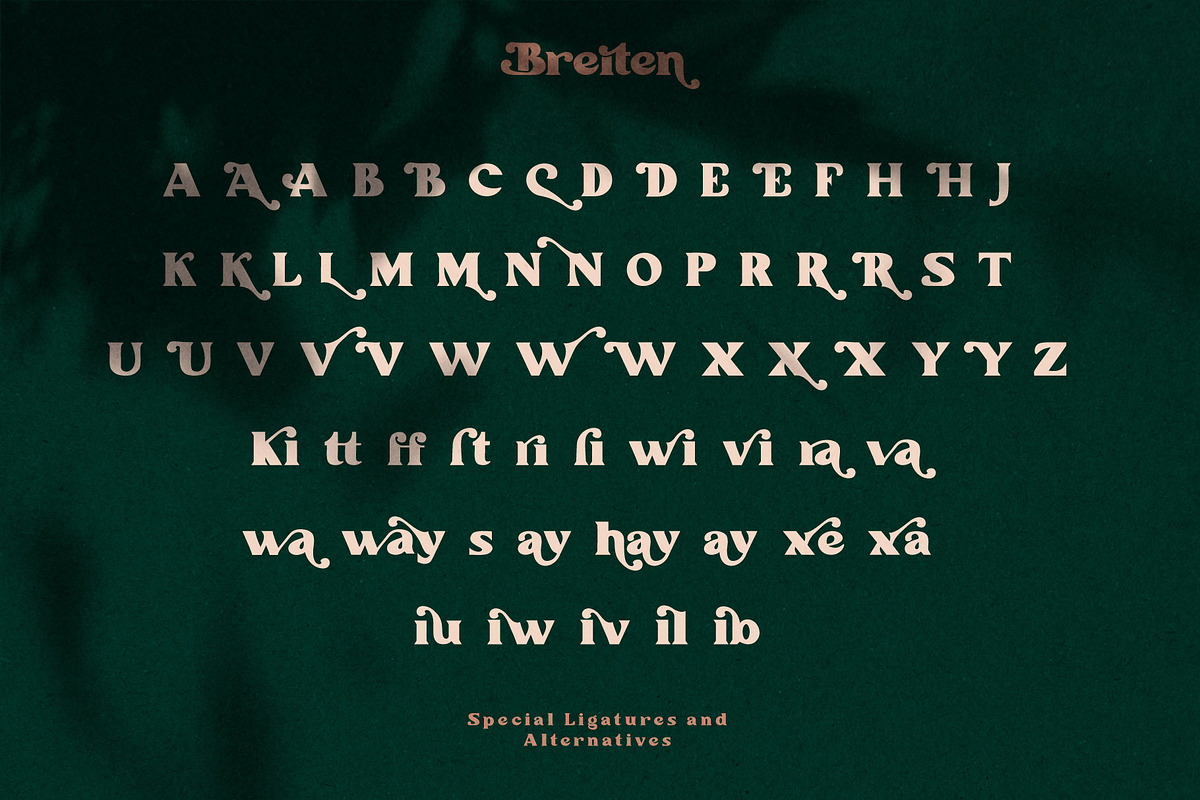 Breiten Bold Serif Font, a Font by Compaq_Creative (Photo 8 of 9)