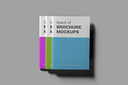 Stacked Brochure Mockup Kit 11 Views, a Books & Magazine Mockup by Illusiongraphic (Thumbnail 6 of 28)