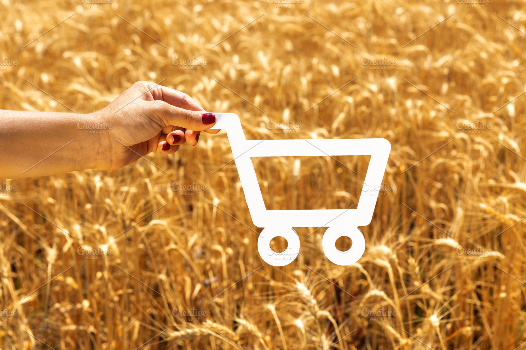 Female hand holding a white shopping cart icon against a ripe wh, a Nature Photo by Ales Munt