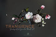 Transience - Hand-painted Gouache, an Illustration by SmallHouseBigPony (Thumbnail 5 of 16)