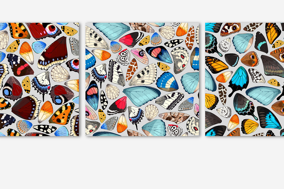 Wings Patterns, a Pattern Graphic by GreyLilac