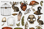 Birth Flowers & Birthstone Clipart, an Illustration by Belusuab (Thumbnail 4 of 16)
