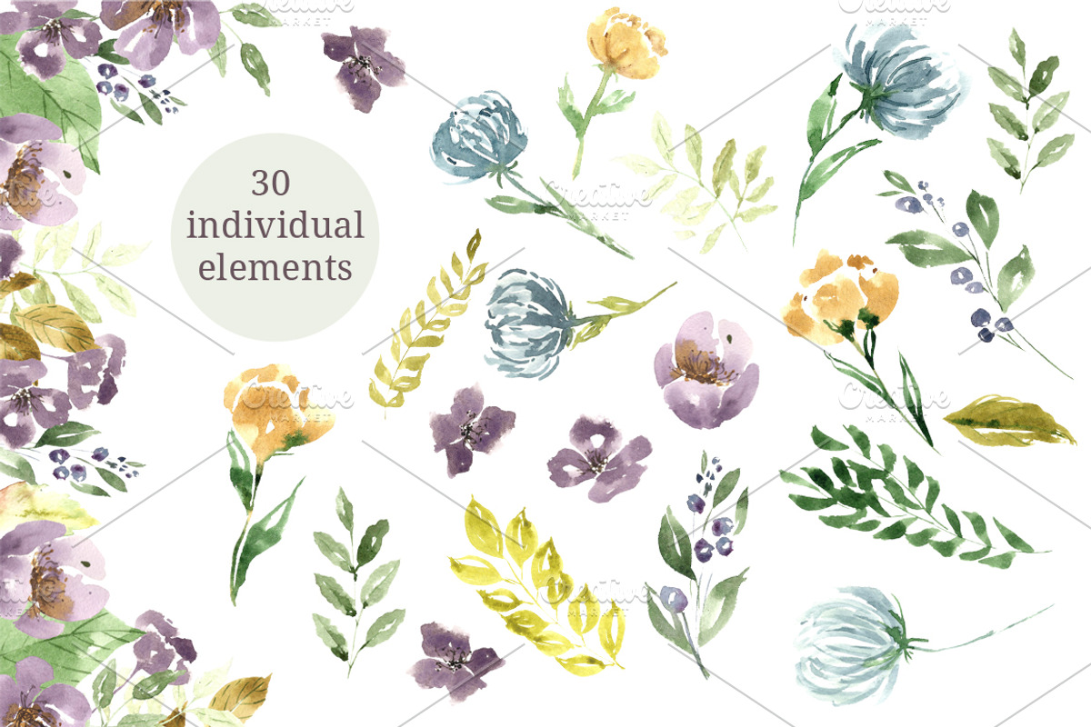 Watercolor Floral Collection, an Illustration by OlgaSerbun (Photo 2 of 8)
