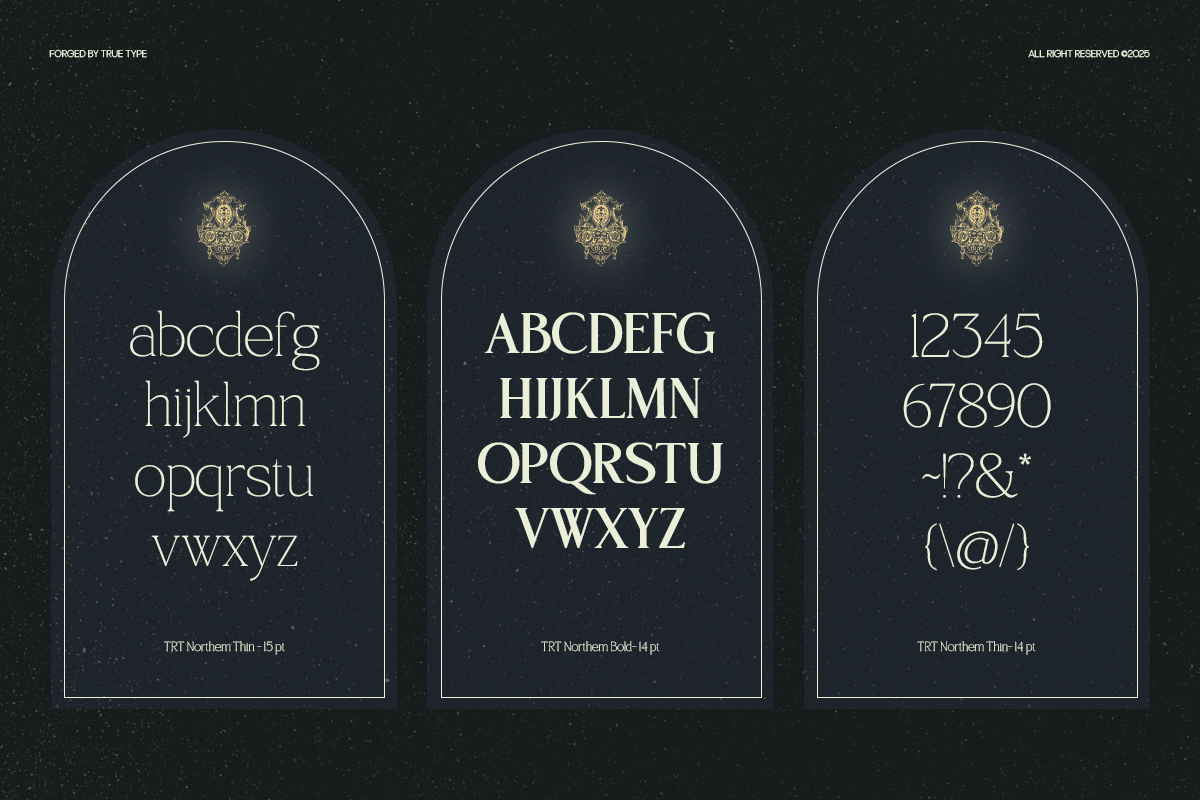 TRT Northem – Elegant Serif Font, a Serif Font by truetype (Photo 11 of 15)