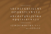 Raintop – Elegant & Stylish Serif, a Serif Font by BrandSemut (Thumbnail 9 of 10)