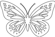 Ornamental Butterfly SVG Bundle, an Object Graphic by Gfx_Store (Thumbnail 6 of 16)