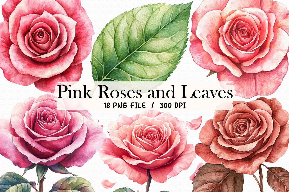Pink Roses and Leaves Watercolor, an Illustration by Libby Wishes (Photo 1 of 3)