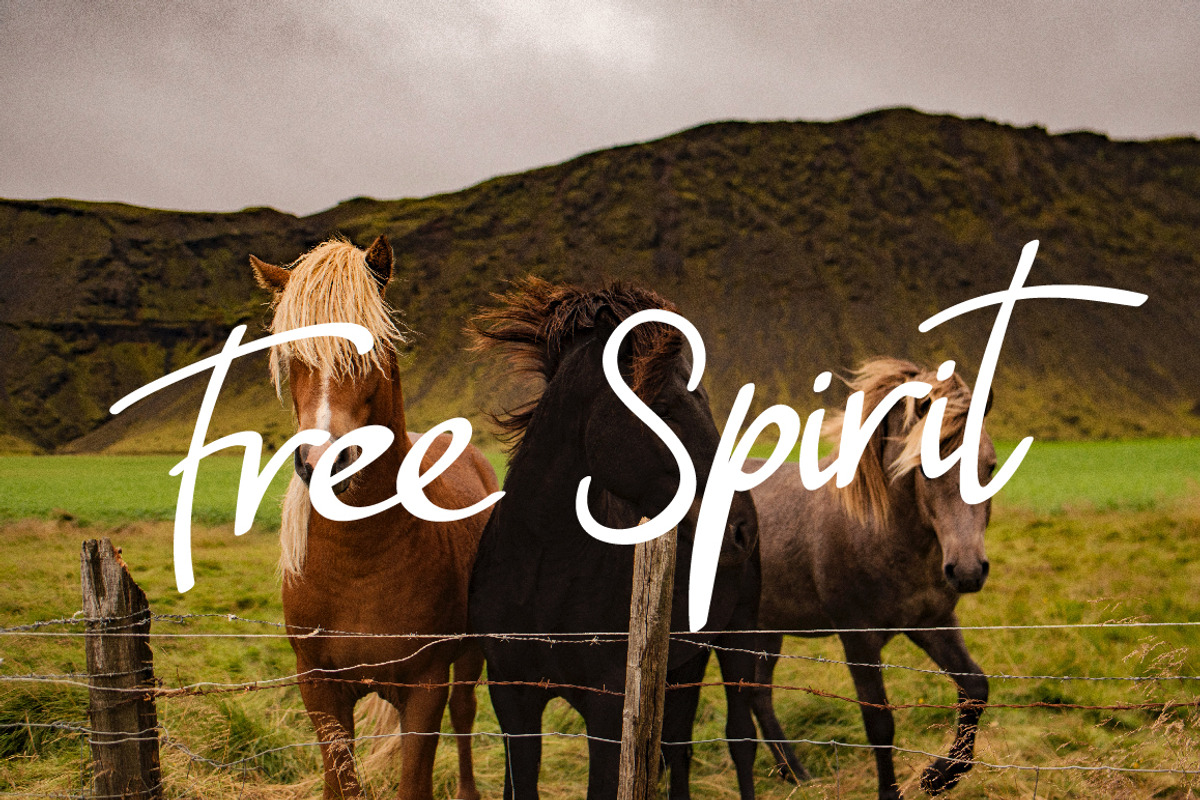 Malanya Typeface preview 3