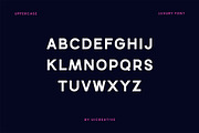Cakewalk Sans Serif Font, a Serif Font by UICreative (Thumbnail 4 of 13)