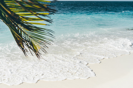 An ocean beach of a luxury resort, a Nature Photo by SkyNext