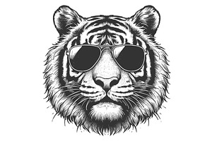 Cool Tiger In Sunglasses Engraving