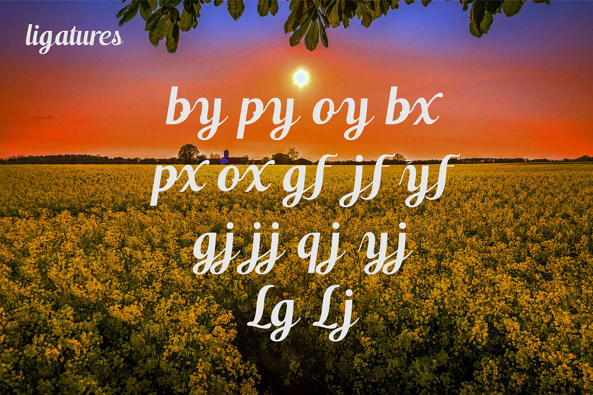 Switzerland, a Script Font by Funtype (Photo 10 of 14)
