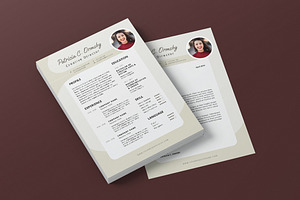 Minimalist CV Resume AI And PSD 14