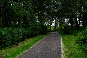Peaceful walking path surrounded by nature in Reykjavik, Iceland, a Photo by AS photostudio