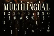 Desqire - Luxury Serif Typeface, a Serif Font by NexaLine (Thumbnail 10 of 10)