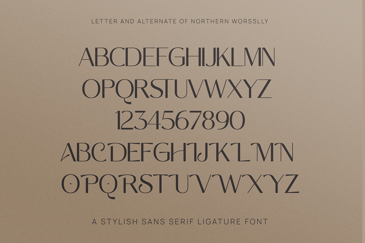 Northern Worssley - Ligature Sans, a Sans Serif Font by Typetemp Studio (Photo 16 of 17)