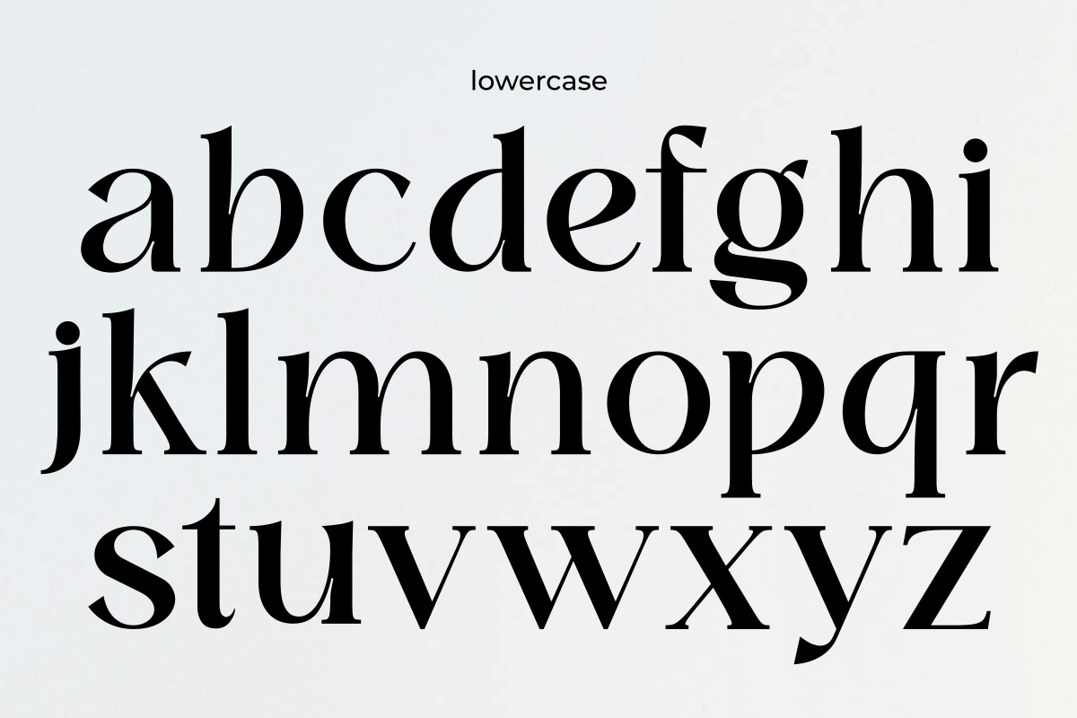 Domilla, a Serif Font by zaaintype (Photo 5 of 12)