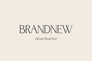 BrandNew Delicate Playful Serif