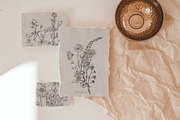 wildflowers clipart, a Decorative Illustration by JULIA x JULIE's ART (Thumbnail 5 of 5)