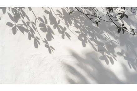 A white wall with an abstract shadow, a Background Photo by ZinetroN