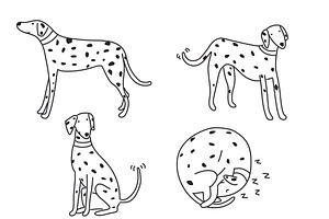 Cute Doodle Dogs Big Collection